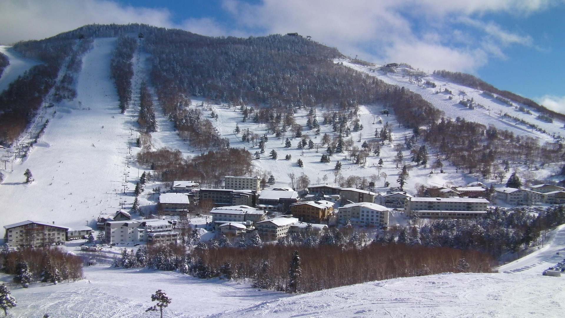 Shiga Kogen Ski Packages | Shiga Kogen Ski Holidays | Ski Deals