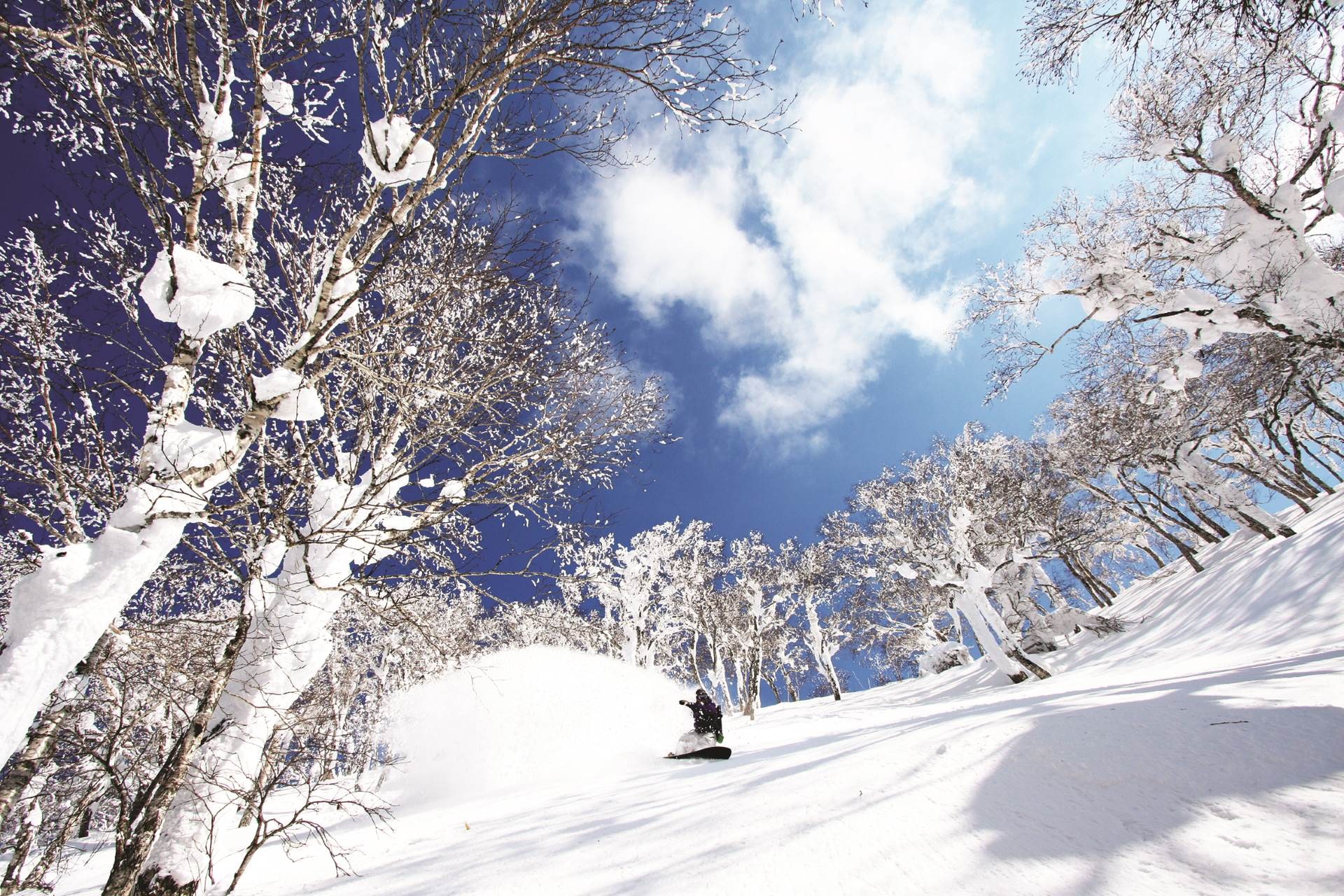 ski japan travel blog